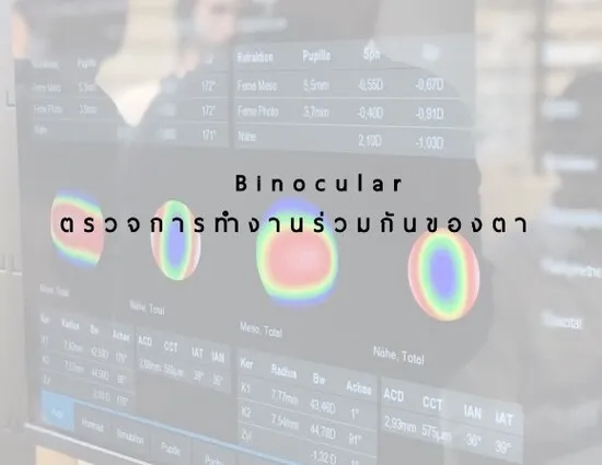 ตรวจการทำงานร่วมกันของตาทั้งสองข้าง (Binocular)